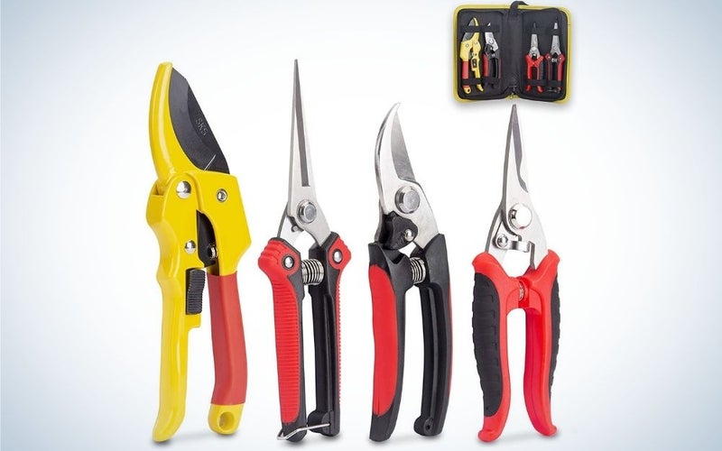 Four different scissors with yellow, red and black colors and with different sharp cutter clippers.
